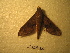  ( - BC-HAX4768)  @12 [ ] Copyright (2010) Unspecified Research Collection of Jean Haxaire
