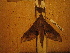 ( - BC-HAX4769)  @13 [ ] Copyright (2010) Unspecified Research Collection of Jean Haxaire