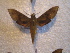  ( - BC-HAX4776)  @12 [ ] Copyright (2010) Unspecified Research Collection of Jean Haxaire