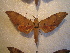  ( - BC-HAX4832)  @13 [ ] Copyright (2010) Unspecified Research Collection of Jean Haxaire