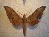  ( - BC-HAX4834)  @13 [ ] Copyright (2010) Unspecified Research Collection of Jean Haxaire