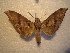  ( - BC-HAX4837)  @11 [ ] Copyright (2010) Unspecified Research Collection of Jean Haxaire