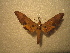  ( - BC-HAX4839)  @12 [ ] Copyright (2010) Unspecified Research Collection of Jean Haxaire