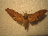  ( - BC-HAX4840)  @11 [ ] Copyright (2010) Unspecified Research Collection of Jean Haxaire