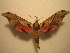  ( - BC-HAX4843)  @12 [ ] Copyright (2010) Unspecified Research Collection of Jean Haxaire