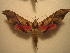  ( - BC-HAX4844)  @12 [ ] Copyright (2010) Unspecified Research Collection of Jean Haxaire