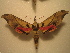  ( - BC-HAX4845)  @13 [ ] Copyright (2010) Unspecified Research Collection of Jean Haxaire