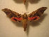  ( - BC-HAX4847)  @11 [ ] Copyright (2010) Unspecified Research Collection of Jean Haxaire