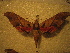  ( - BC-HAX4849)  @12 [ ] Copyright (2010) Unspecified Research Collection of Jean Haxaire