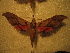  ( - BC-HAX4850)  @11 [ ] Copyright (2010) Unspecified Research Collection of Jean Haxaire