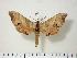  ( - BC-Hax3906)  @14 [ ] Copyright (2010) Unspecified Research Collection of Jean Haxaire