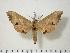  ( - BC-Hax3907)  @14 [ ] Copyright (2010) Unspecified Research Collection of Jean Haxaire