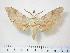  ( - BC-Hax3964)  @13 [ ] Copyright (2010) Unspecified Research Collection of Jean Haxaire