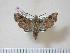  ( - BC-Hax3979)  @13 [ ] Copyright (2010) Unspecified Research Collection of Jean Haxaire