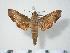  ( - BC-Hax4084)  @14 [ ] Copyright (2010) Unspecified Research Collection of Jean Haxaire