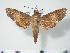  ( - BC-Hax4086)  @13 [ ] Copyright (2010) Unspecified Research Collection of Jean Haxaire