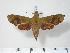  ( - BC-Hax4089)  @14 [ ] Copyright (2010) Unspecified Research Collection of Jean Haxaire