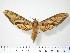  ( - BC-Hax4097)  @14 [ ] Copyright (2010) Unspecified Research Collection of Jean Haxaire