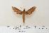  ( - BC-Hax4319)  @13 [ ] Copyright (2010) Unspecified Research Collection of Jean Haxaire