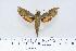  ( - BC-Hax4414)  @14 [ ] Copyright (2010) Unspecified Research Collection of Jean Haxaire
