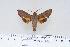  ( - BC-Hax4415)  @13 [ ] Copyright (2010) Unspecified Research Collection of Jean Haxaire