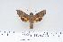  ( - BC-Hax4416)  @13 [ ] Copyright (2010) Unspecified Research Collection of Jean Haxaire