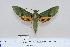  ( - BC-Hax4460)  @14 [ ] Copyright (2010) Unspecified Research Collection of Jean Haxaire