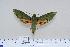  ( - BC-Hax4461)  @13 [ ] Copyright (2010) Unspecified Research Collection of Jean Haxaire