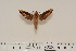  ( - BC-Hax4547)  @12 [ ] Copyright (2010) Unspecified Research Collection of Jean Haxaire