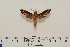  ( - BC-Hax4548)  @12 [ ] Copyright (2010) Unspecified Research Collection of Jean Haxaire