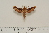  ( - BC-Hax4549)  @12 [ ] Copyright (2010) Unspecified Research Collection of Jean Haxaire