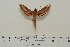  ( - BC-Hax4557)  @13 [ ] Copyright (2010) Unspecified Research Collection of Jean Haxaire