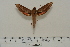  ( - BC-Hax4558)  @13 [ ] Copyright (2010) Unspecified Research Collection of Jean Haxaire