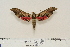  ( - BC-Hax4570)  @13 [ ] Copyright (2010) Unspecified Research Collection of Jean Haxaire