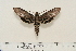  ( - BC-Hax4571)  @12 [ ] Copyright (2010) Unspecified Research Collection of Jean Haxaire