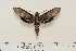  ( - BC-Hax4571)  @12 [ ] Copyright (2010) Unspecified Research Collection of Jean Haxaire