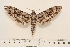  ( - BC-Hax4572)  @14 [ ] Copyright (2010) Unspecified Research Collection of Jean Haxaire