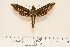 ( - BC-Hax4575)  @13 [ ] Copyright (2010) Unspecified Research Collection of Jean Haxaire
