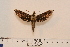  ( - BC-Hax4576)  @13 [ ] Copyright (2010) Unspecified Research Collection of Jean Haxaire