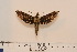  ( - BC-Hax4576)  @13 [ ] Copyright (2010) Unspecified Research Collection of Jean Haxaire