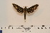  ( - BC-Hax4578)  @13 [ ] Copyright (2010) Unspecified Research Collection of Jean Haxaire