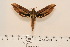  ( - BC-Hax4580)  @12 [ ] Copyright (2010) Unspecified Research Collection of Jean Haxaire