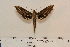  ( - BC-Hax4585)  @13 [ ] Copyright (2010) Unspecified Research Collection of Jean Haxaire
