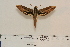  ( - BC-Hax4588)  @12 [ ] Copyright (2010) Unspecified Research Collection of Jean Haxaire