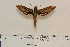  ( - BC-Hax4588)  @12 [ ] Copyright (2010) Unspecified Research Collection of Jean Haxaire