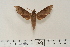  ( - BC-Hax4613)  @13 [ ] Copyright (2010) Unspecified Research Collection of Jean Haxaire