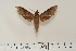  ( - BC-Hax4613)  @13 [ ] Copyright (2010) Unspecified Research Collection of Jean Haxaire