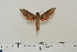  ( - BC-Hax4619)  @13 [ ] Copyright (2010) Unspecified Research Collection of Jean Haxaire