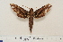  ( - BC-Hax4625)  @14 [ ] Copyright (2010) Unspecified Research Collection of Jean Haxaire
