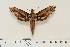  ( - BC-Hax4627)  @14 [ ] Copyright (2010) Unspecified Research Collection of Jean Haxaire